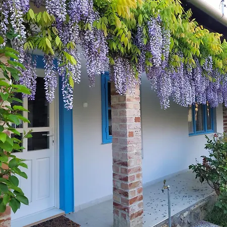Kisbagoly Vendeghaz Villa Parád Exterior photo
