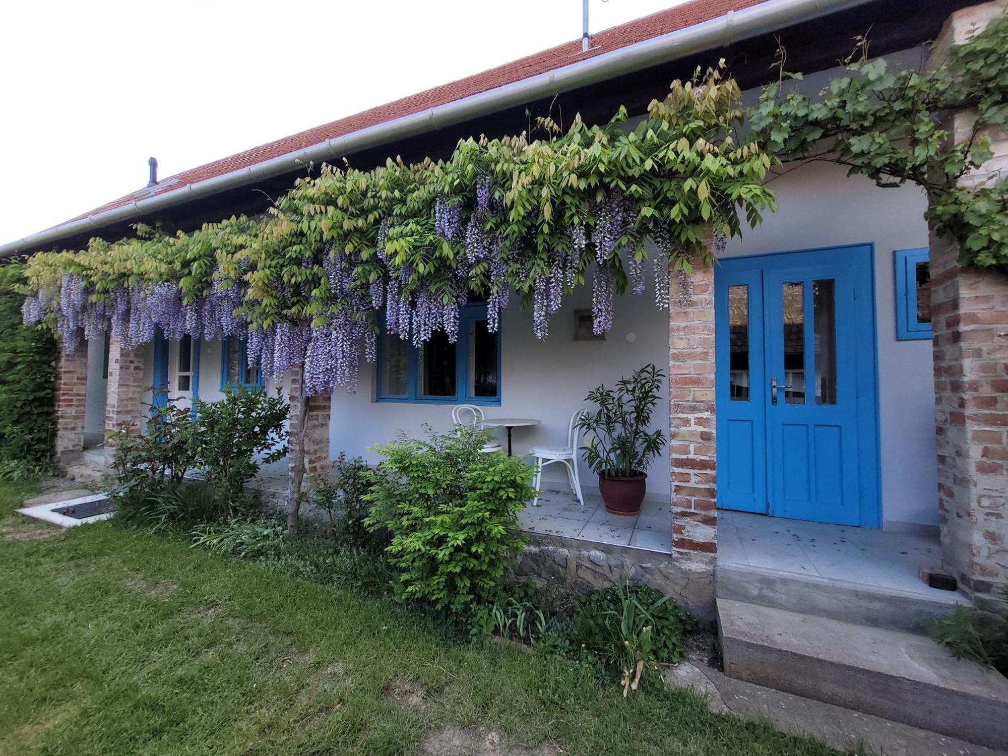 Kisbagoly Vendeghaz Hébergement de vacances Parád
